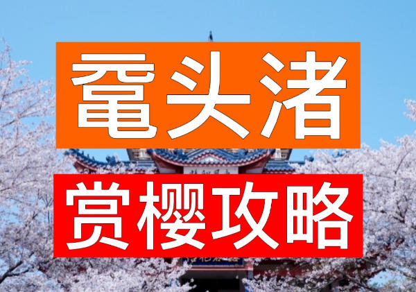 太湖鼋头渚风景区赏樱攻略