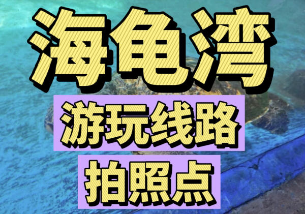 海龟湾游玩线路