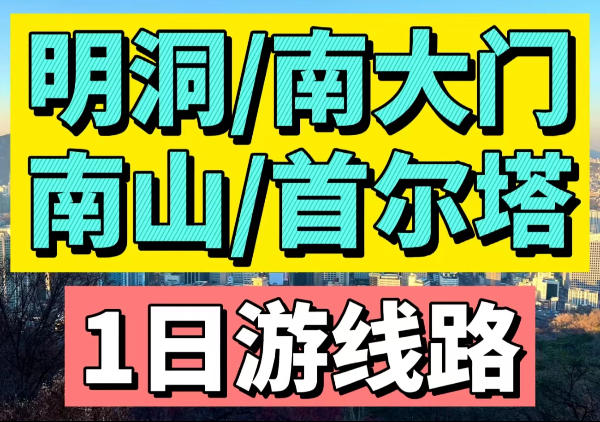 明洞|南大门市场|首尔塔1日游