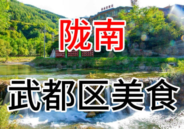 陇南武都区美食