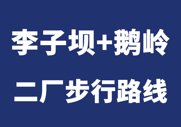 李子坝地图