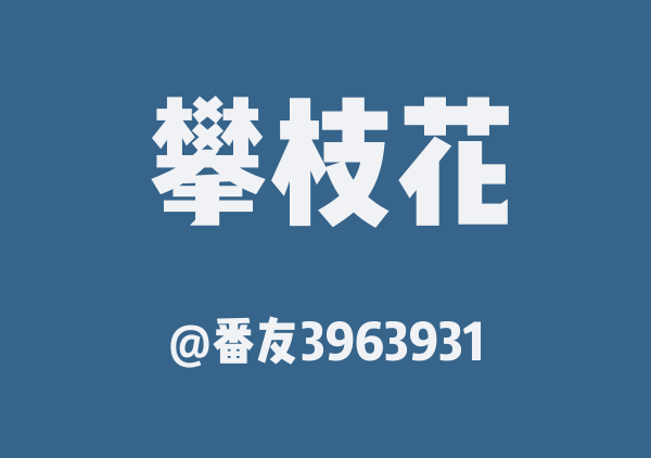番友3963931的攀枝花地图
