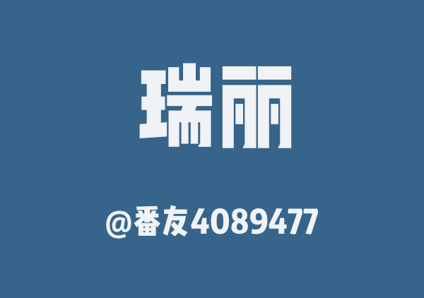 番友4089477的瑞丽地图