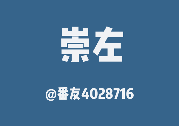 番友4028716的崇左地图