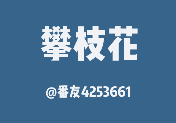 番友4253661的攀枝花地图