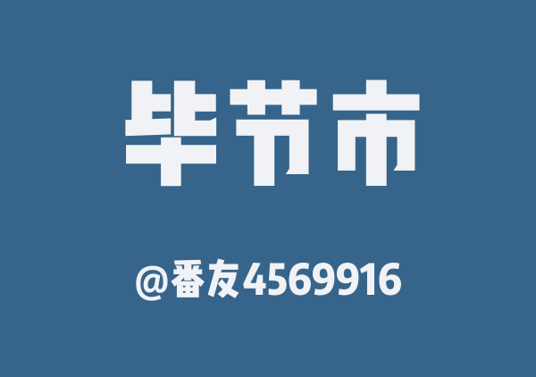 番友4569916的毕节市地图
