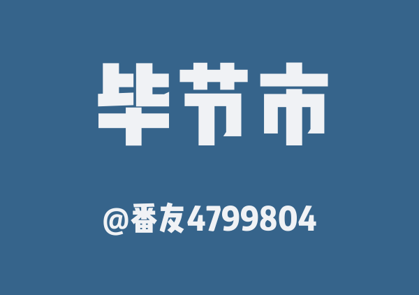 番友4799804的毕节市地图