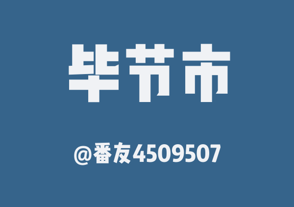 番友4509507的毕节市地图