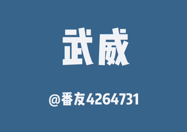 番友4264731的武威地图