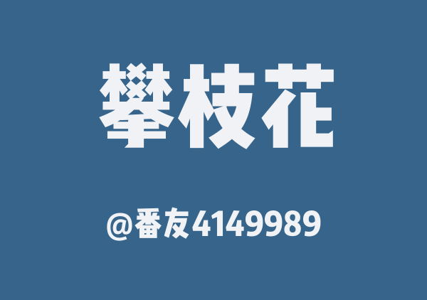 番友4149989的攀枝花地图