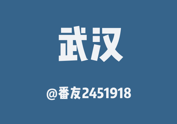 番友2451918的武汉地图