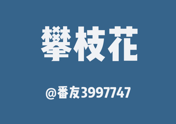 番友3997747的攀枝花地图