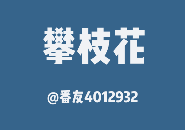 番友4012932的攀枝花地图