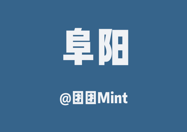 团团Mint的阜阳地图