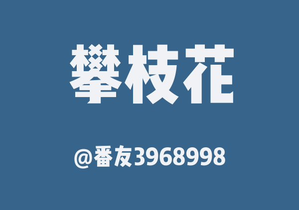 番友3968998的攀枝花地图