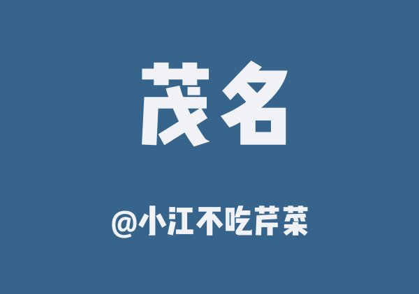 小江不吃芹菜的茂名地图