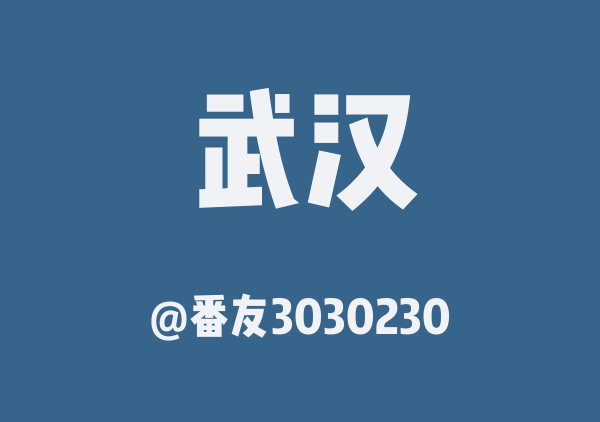 番友3030230的武汉地图