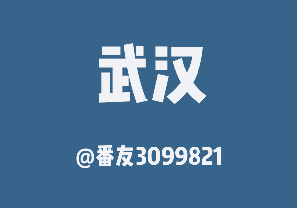 番友3099821的武汉地图