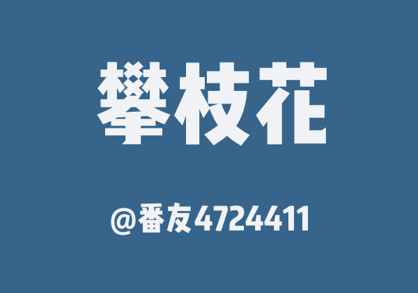 番友4724411的攀枝花地图