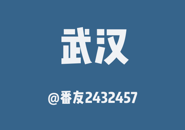 番友2432457的武汉地图