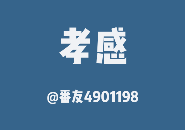番友4901198的孝感地图