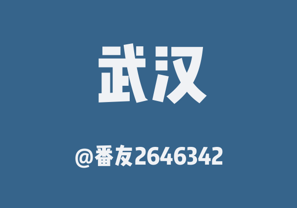 番友2646342的武汉地图