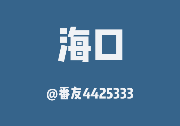 番友4425333的海口地图