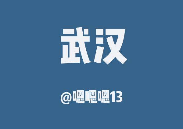 嗯嗯嗯13的武汉地图
