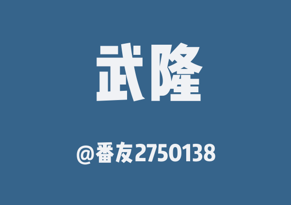 番友2750138的武隆地图