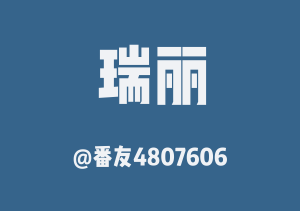 番友4807606的瑞丽地图