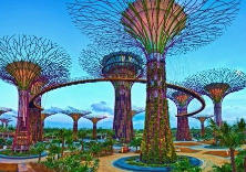 新加坡吃吃喝喝