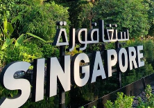 新加坡特种兵3日游