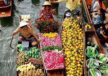 一个人的曼谷行